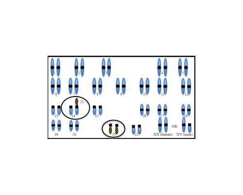 邮寄香港验血安全吗_怀孕多久能知道男女,dna胎儿性别邮寄可靠吗