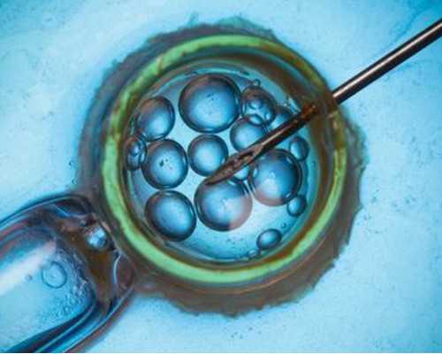 香港验血男女要多少天_香港验血几周去准确率可以100%吗？需要多少钱？