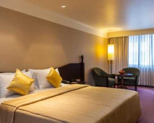 香港验血几周合适_关于自立的作文关于爱的作文(400字)