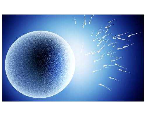 香港验血多久会出来_香港验血报告单pg准不准,你想知道的都在这了