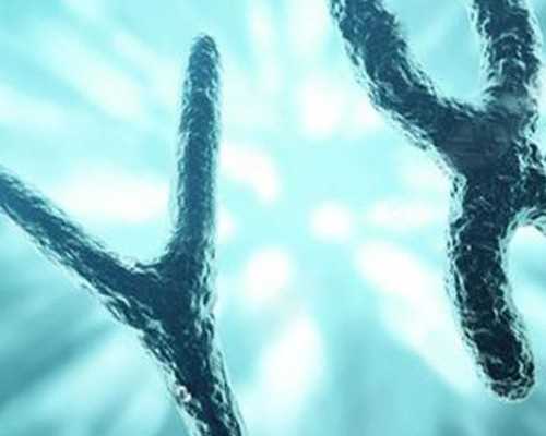 香港验血检测男女结果y_《山羊不吃天堂草》的重要片段山羊不吃天堂草 主要内