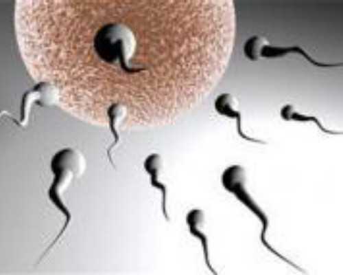 香港验血鉴定需要多长时间_宝妈都注重:怀孕看男女有禁绝的么？（给想去的姐