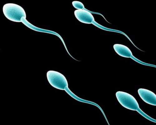 水族箱潜水泵声音大怎么办_Reclining Figure