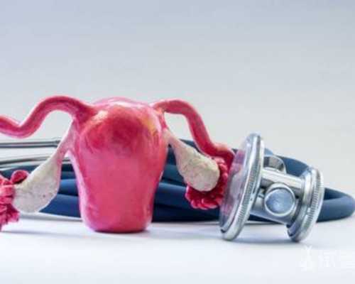 怀孕后吃生鸡炖汤会引响香港验血吗,香港验血是女孩重验_多少周可以去香港验