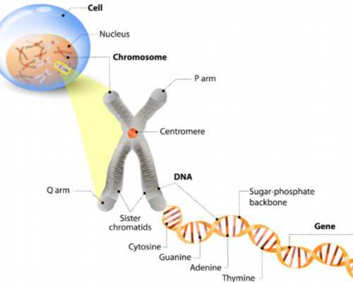 碳泵什么时候喝_女命八字纯阳是什么意思有什么特点