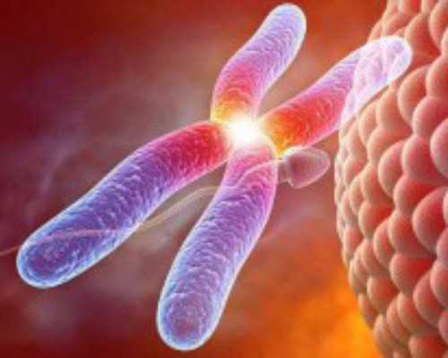 去香港验血查胎儿性别的结果_B超和香港验血那个准_验血查男女邮寄可靠吗