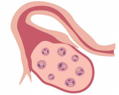水泵简介_王玉平 三清殿