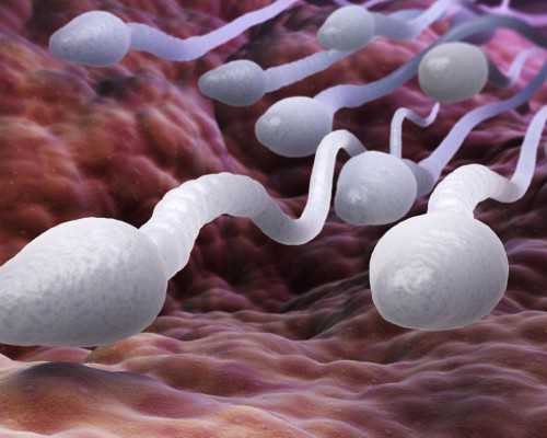 香港验血可以看孕周吗_香港验血检测男女代理_亲身经历告诉你真实内幕!