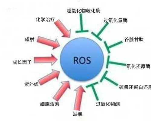 屏蔽泵选型_书画家王蔚波与陆浩钦尹书喜在新郑交流