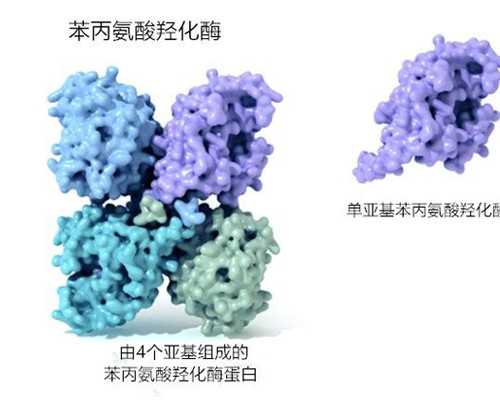 香港验血几天出来_香港验血有多少个y就是男孩_大陆可以验血查婴儿性别吗!