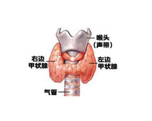 二胎香港验血天涯_宝妈都注重:测男孩女孩几周最精确?自己亲身经历告知你