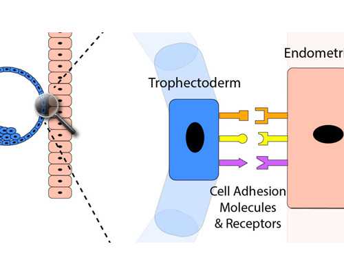 压滤机专用泵价格_大都会展出馆藏素描版画