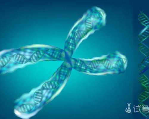 污泥提升泵选型_近七旬老人50年收藏报纸十万余份 无偿办抗战展