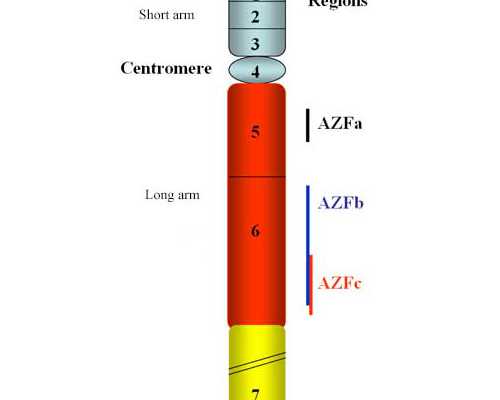 香港寄血验血测男女_几个月可以去香港验血男女准吗_知名的验血机构有哪些