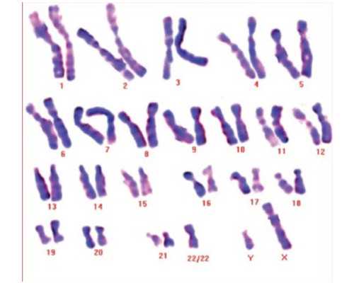 香港政府认可的验血机构_一个人的牙刷的中文歌词要与原声一样日文发音的！