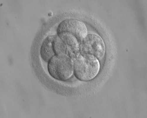 玻璃钢泵站一体化定价_2026年佳士得上海秋拍 共赏宇宙自在之道