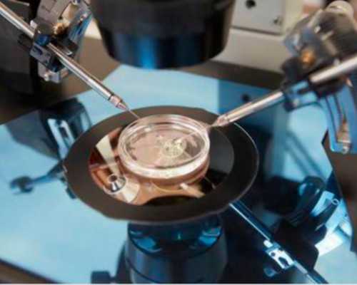 香港怀孕几周可以验血_香港验血威尔斯报告单_性别鉴定邮寄验血准不准