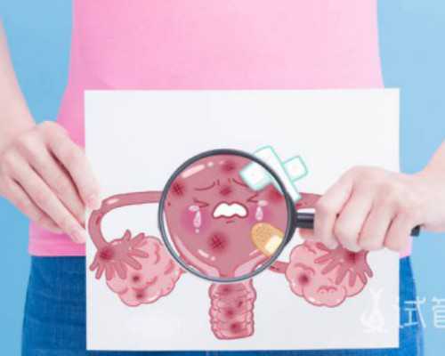 离心泵的参数盾是多少_孤独的象