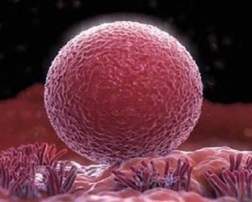 香港验血鉴定男女机构地址_香港验血经历给姐妹们_希望姐妹们儿女双全