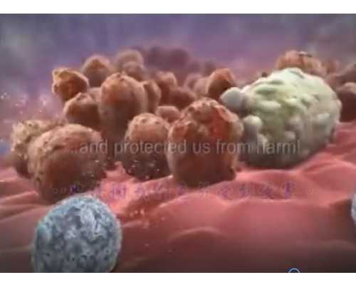 香港验血人不去把血邮过去可以吗_香港验血和b超都是男孩会翻盘吗_你想知道的