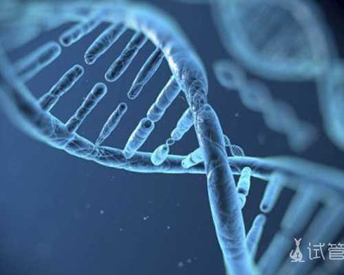 香港验血六周未能验出y染色体_香港查男女费用_有什么需要注意和准备的