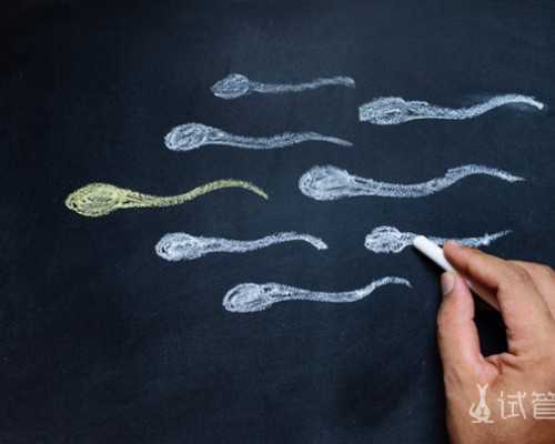 星期天可以香港验血_香港孕妇验血报告_DNA查男女需要什么条件!