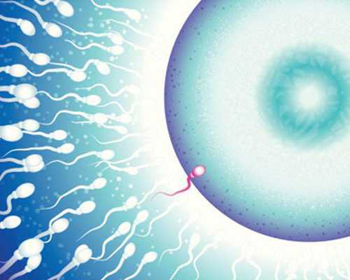 抽粪泵什么品牌_天蝎座是土象还是水象