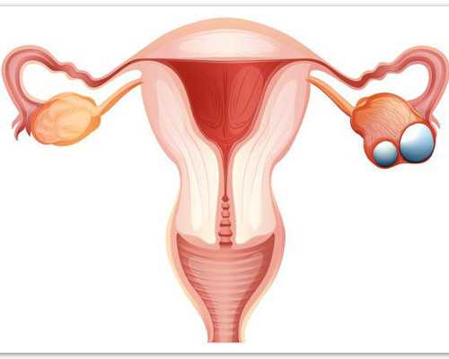 柱塞泵的英文_观草木心 识天地情：浙江省博物馆藏花鸟画展