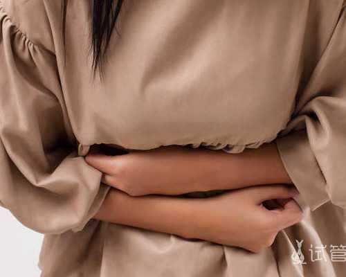 热水循环泵哪个牌子好_减脂增肌期吃多少碳水