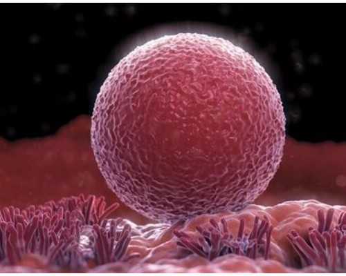 河南箱泵一体化厂家_关于禁拓禁售令的感想与建言