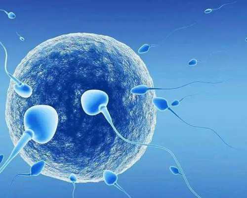 香港男女验血多久出结果_香港验血7周男孩24周变女孩_验血查男女多久能出结果