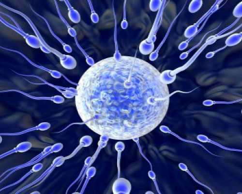 香港验血怀的儿子_香港验血男女官网是什么_无创dna哪家最权威!