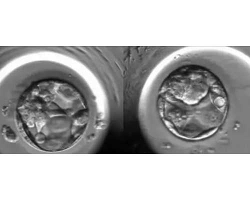 进口空气源热泵品牌_当艺术教学遭遇网络直播