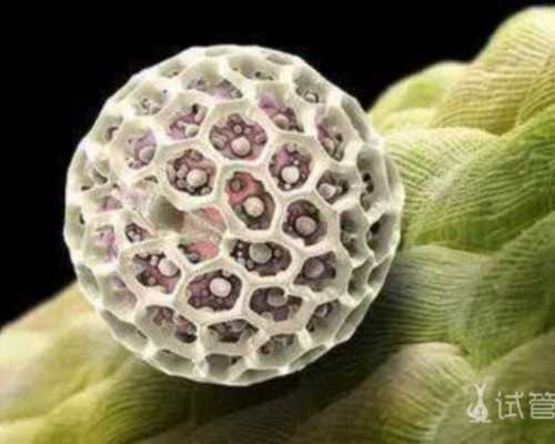 离心泵翻译_【原创】清新爽口的凉拌黄瓜银耳，酸甜口