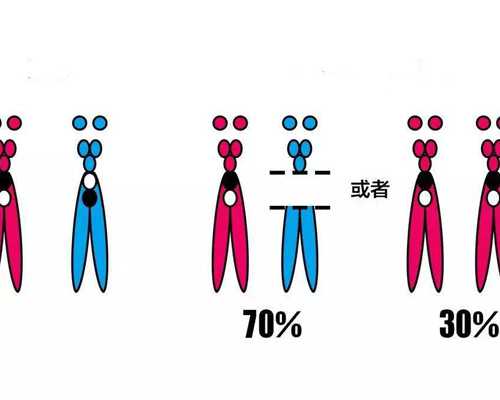 真空机械泵原理及维修_南瓜糯米圆子