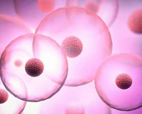 有人邮寄香港验血过吗_宝妈这样说:香港验血快不快?我来告诉你香港验血的真相