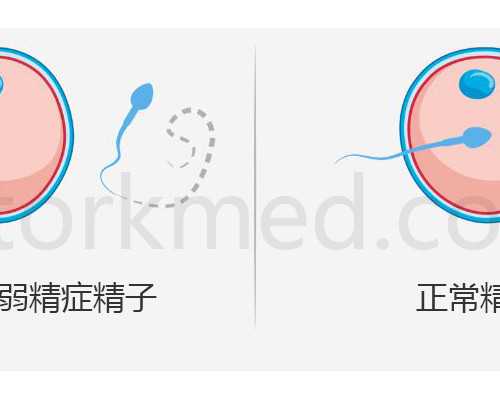 知名空气源热泵品牌_飘花：翡翠中的泼墨山水
