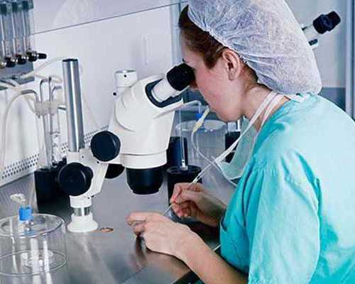 香港验血的血样到底能不能寄过去_关于恐龙的资料关于恐龙的一些资料