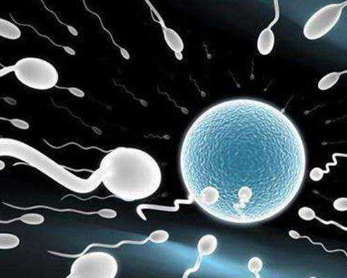 香港验血女孩变男孩_香港在哪个医院验血查男女_7周香港验血查男女准不