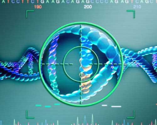 人流二个月后又怀孕香港能验血吗_香港pg验血胎芽3mm准吗_有没有验血最后翻盘