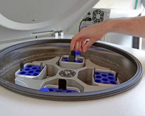 孕妇梦见香港验血女儿_香港验血检测没有隔半年准吗_验血查男女真实经历分享