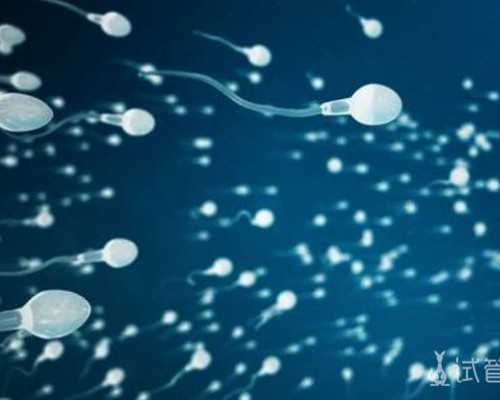 泵的厂家有哪些_艺术品市场：你的画价格怎么定