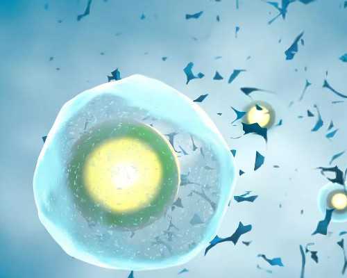 香港验血是男孩可信吗_邮寄到香港验血_无创DNA哪家比较好