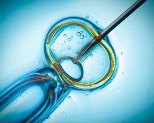 香港验血有邮寄的吗_香港验血测男女有没有不准的情况，宝妈帮你答疑解惑！