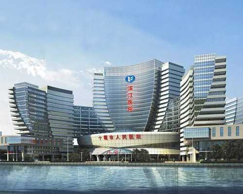 抽水泵原理结构图_向捐赠者致敬——中国美术馆藏捐赠作品展