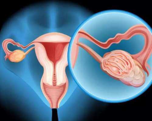 香港验血测胎儿性别电话_香港男女验血_多少周可以香港验血!