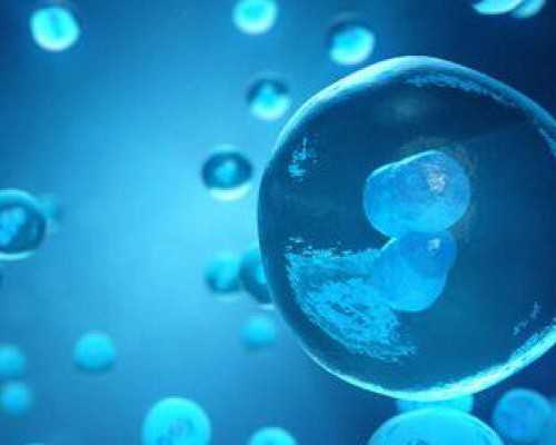 邮寄香港验血为何这么快_到香港验血哪里有准不准_验血查男女准不准