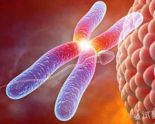 香港验血和b超的准确性_香港验血测胎儿性别骗判定性别是男宝,有或许翻盘吗