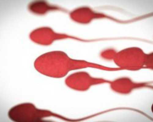 香港验血最早几周可以_关于暑假计划的英语作文80字左右、一个暑假计划的英语