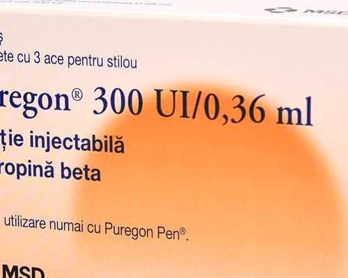 香港验血运输时间长_假期最难忘的一件事作文题目:假期里的一件事